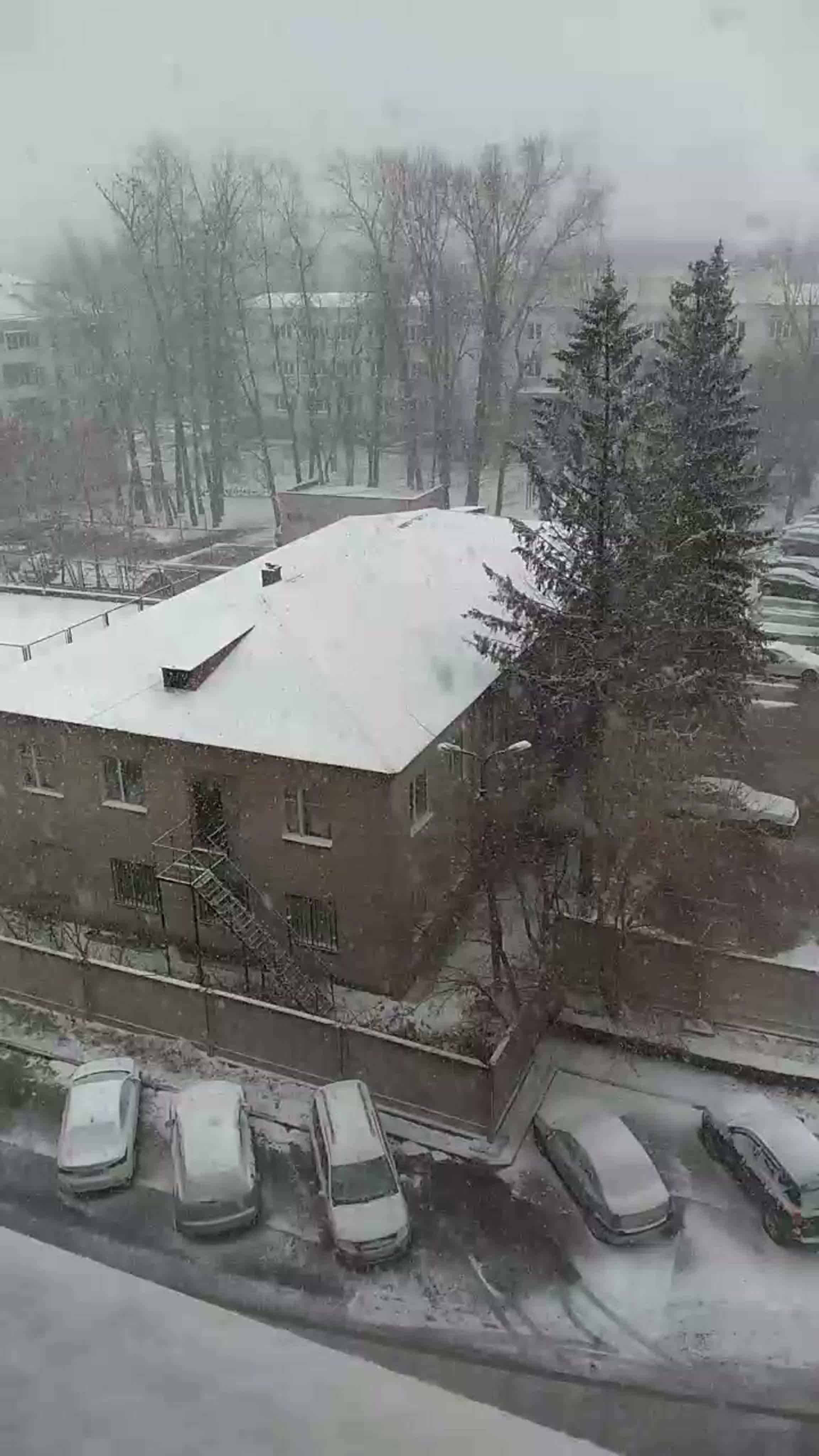 Снег mp4 - BEST XXX TUBE