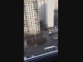 Видео от сани елфутина