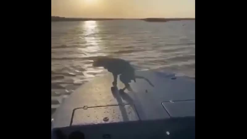 Экстримальный сброс