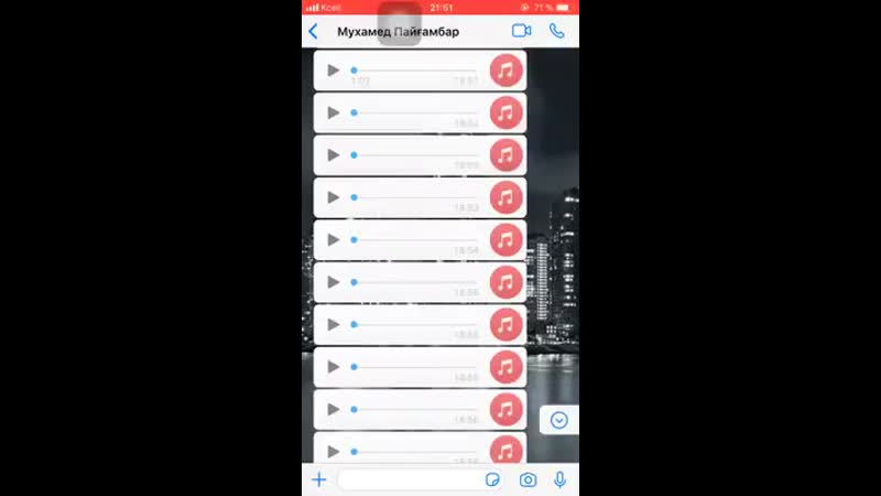 Берик беришев 20200817 2 mp4