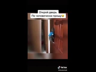 Открой дверь 🤣🤣🤣