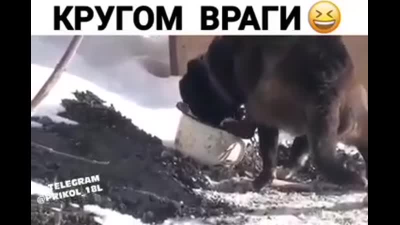 Кругом porn video – Кругом враги