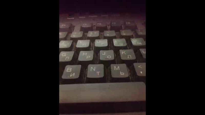 Live хакери гогонеби