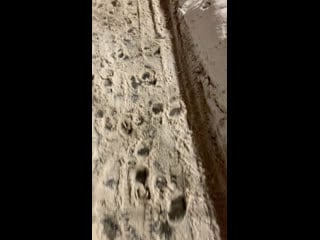 Продолжение последнего январского порнр