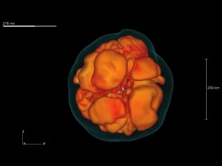 Now playing core collapse in 3d!