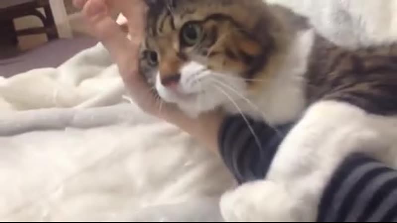 Givе mе yоur arm, it's minе nоw