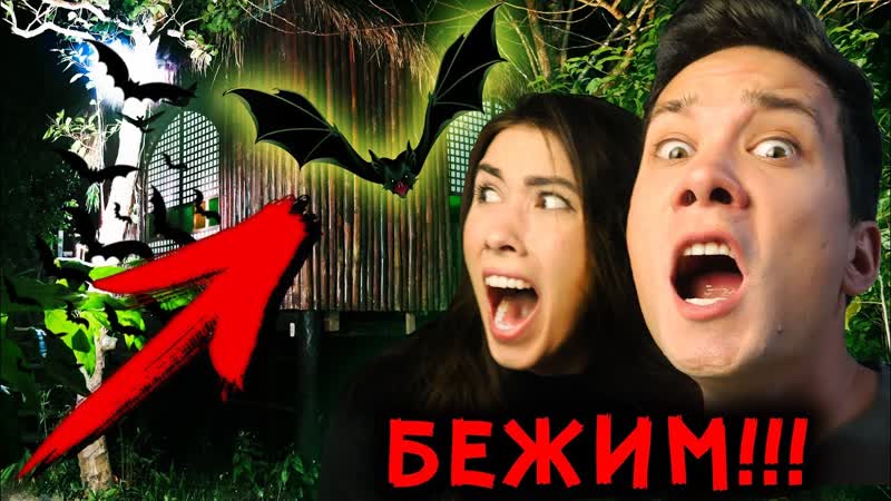Побег из дома на дереве с алоя вера мистический квест | саша аморал