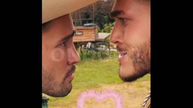 Захар против капы