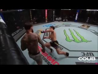 Cody garbrandt knocked out raphael assuncao