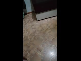 Vid 20210108 004539 mp4