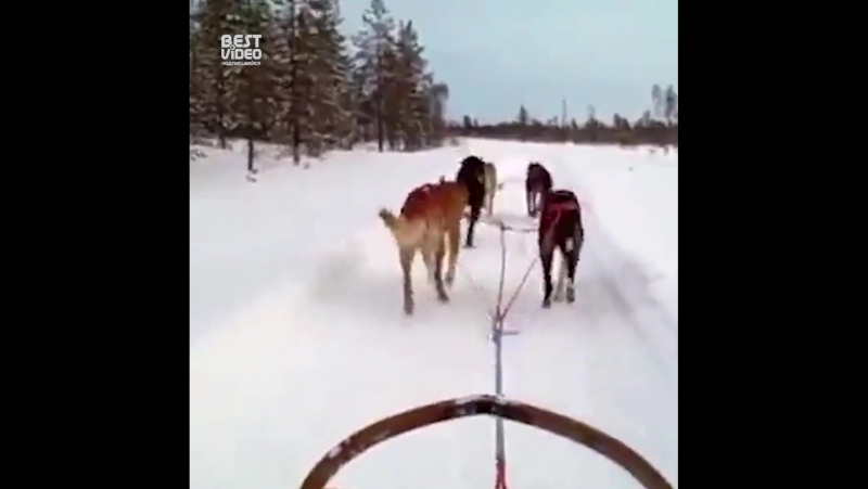 Когда нет времени на останоу