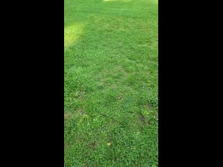 Гжельское дерби разминка