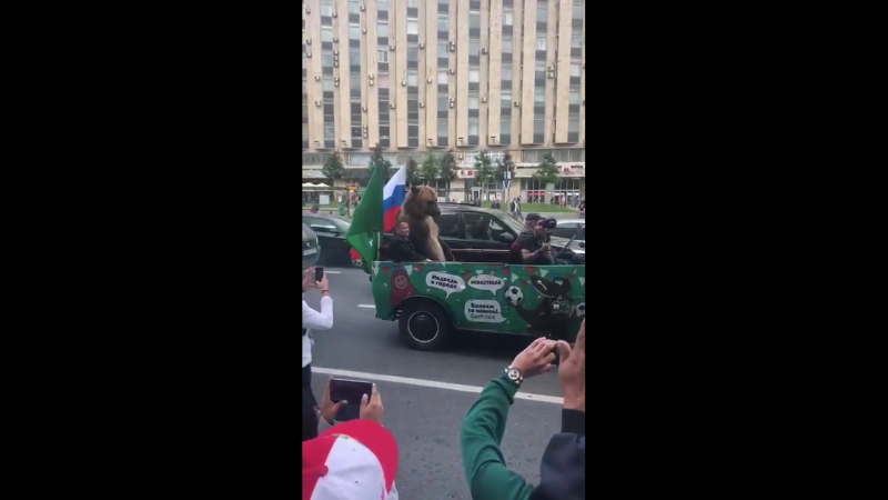 Болеем как положено)))