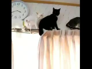 Yoonmin by porn ⁺¹⁸