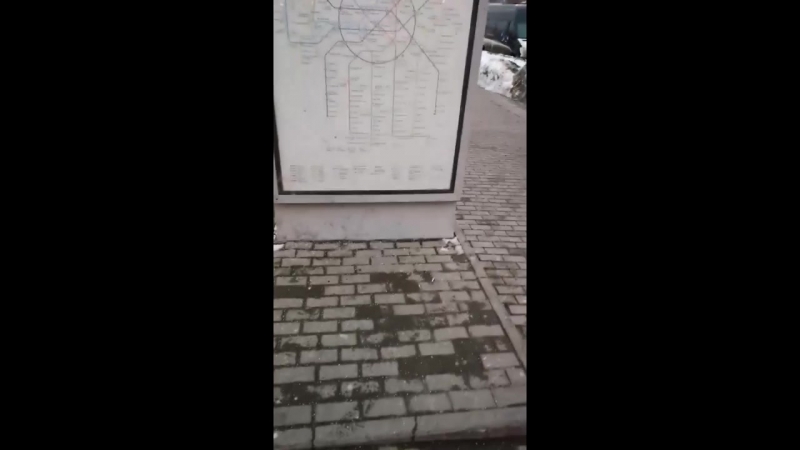 Живодёр герасимов максим назначил встречу в москве и снова не пришёл на неё (11 03 2018 г ) mp4