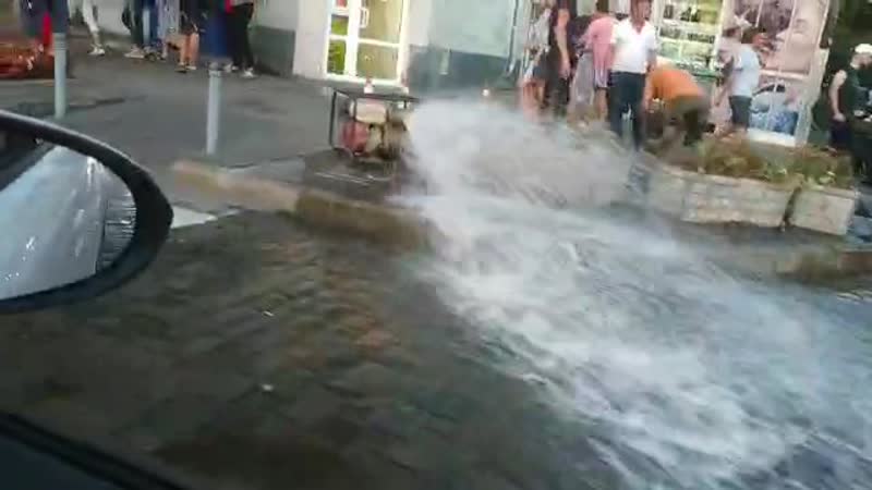 Сумская гиршмана