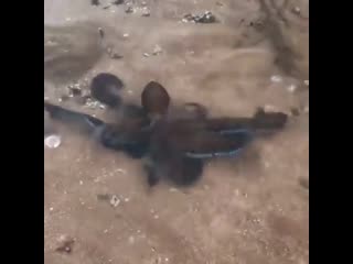 Тут съёмка видео молодые камеру вырубай на (vhs video)