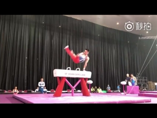 Lee chih kai pommel horse podium training asian games