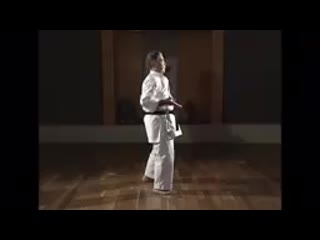 Grand master morio higaonna sensei kata