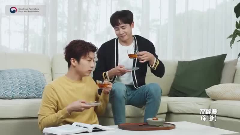 2pm nichkhun wooyoung promotion shooting for korean ginseng
