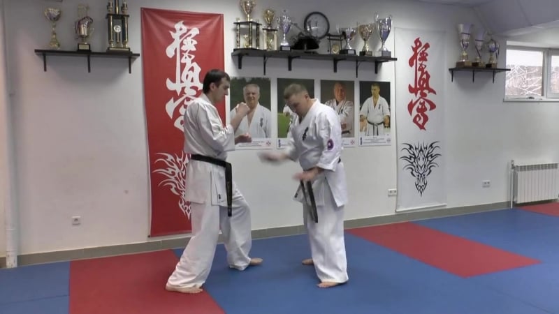 Маваши гери джодан (mawashi geri jodan) киокушинкай каратэ