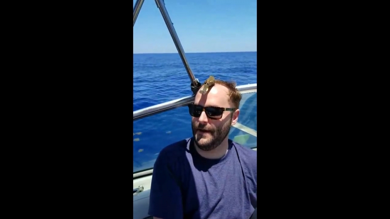 Уставший пернатый путешественник приземлился на голову мужчины в 25 километрах от берега