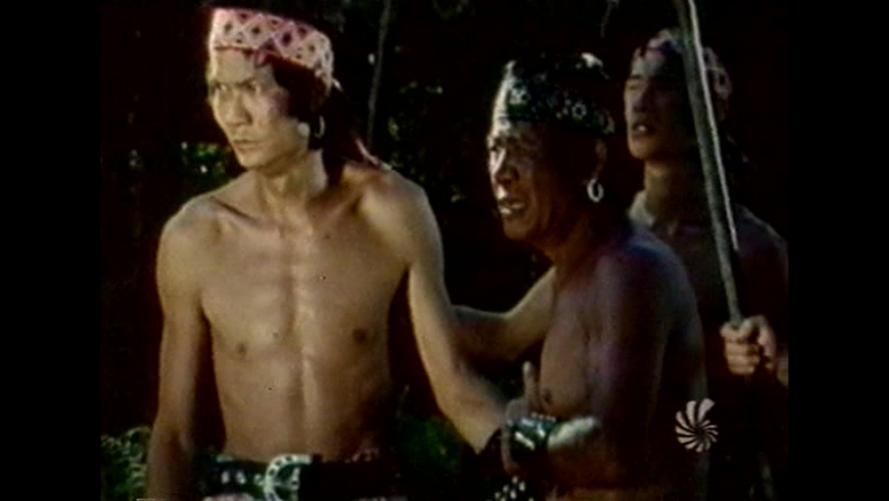 Bruce porn video – 1978 непобедимый брюс ли / bruce lee the invincible