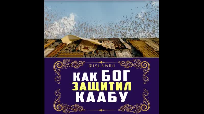 Как всевышний защитил каабу