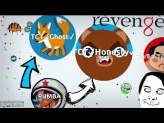 Best revenge ever in agario /