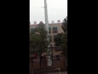 Коронавирус | 2019 ncov | coronavirus