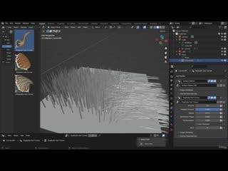 215 duplicate hair curves