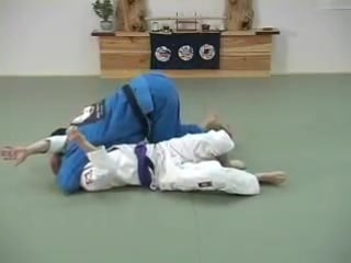 Brazilian jiu jitsu jujutsu combinations blue belt requirements