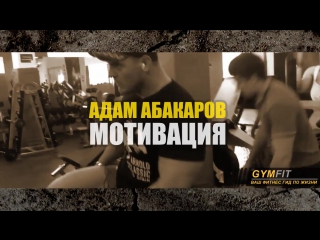 Адам абакаров мотивация (adam abakarov motivation)