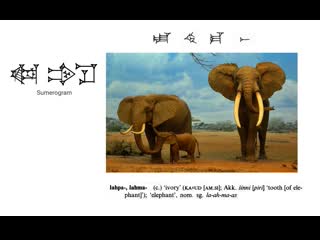 Hititçe hittite word of the day lahpa ,lahma (c ) 'ivory'