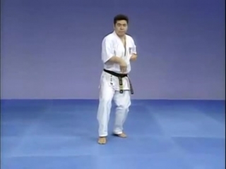 Ката янцу kata yantsu