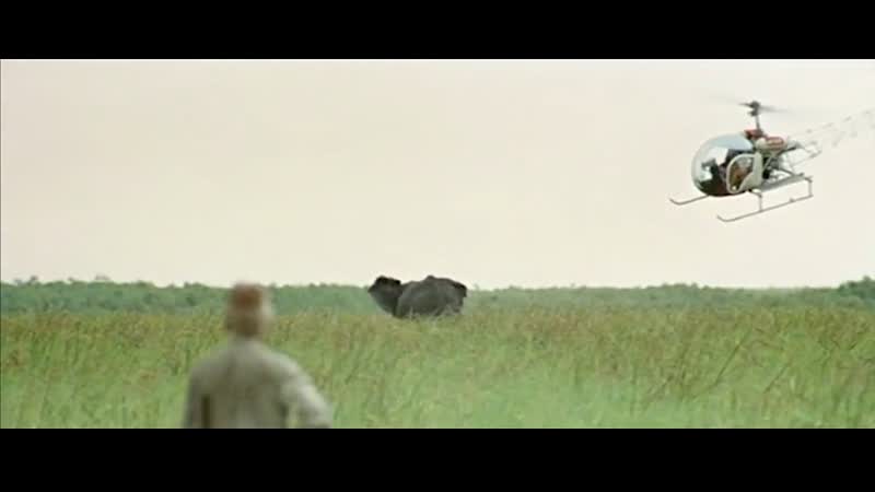 Прощай, африка / africa addio (1966)