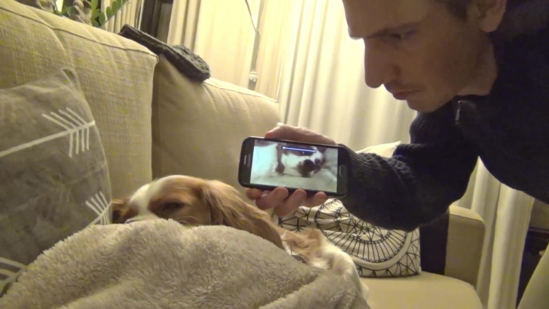 Боже мой! это я? неужели я так громко храплю?