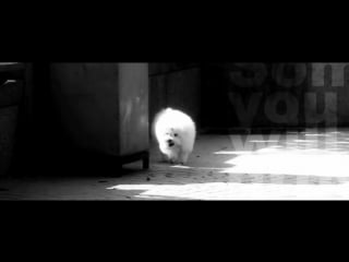 Whiteroom feat amy cooper someday