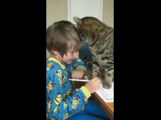 The best interruption while trying to do his homework