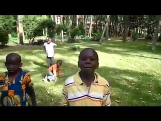 Ебать коней,ебать!