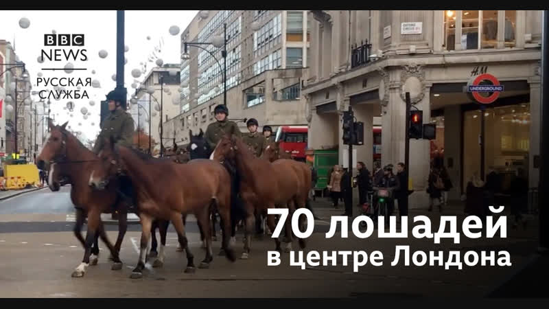 Эскадрон королевских лошадей в центре лондона