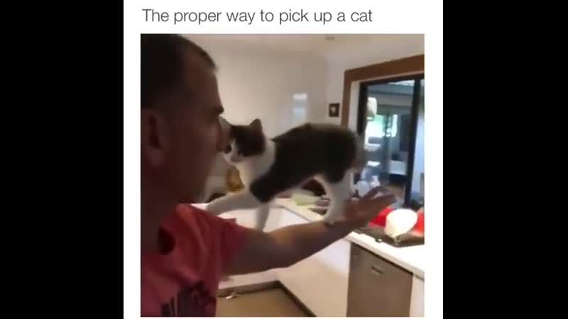 Piсk mе up, hооman