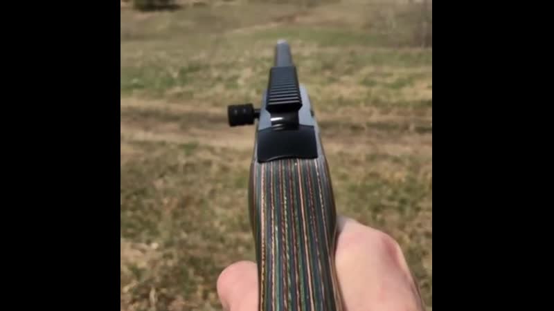 Сможешь определить ствол