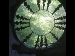 Uliana kosa 20200808 9 mp4