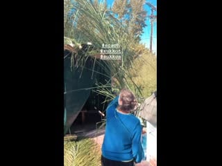 Стори маим бялик ❤️