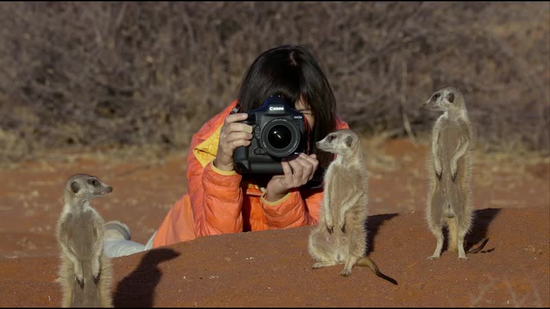 Съемка редких обитателей пустыни с камерой canon eos 1d x mark iii