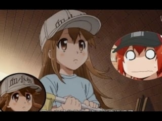 【hataraku saibou】 mountain poor water, no doubt, no way, my wife blocked my way