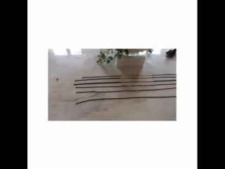 Magdalena frackowiak