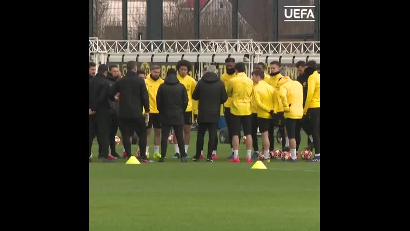 Тренироа "боруссии"