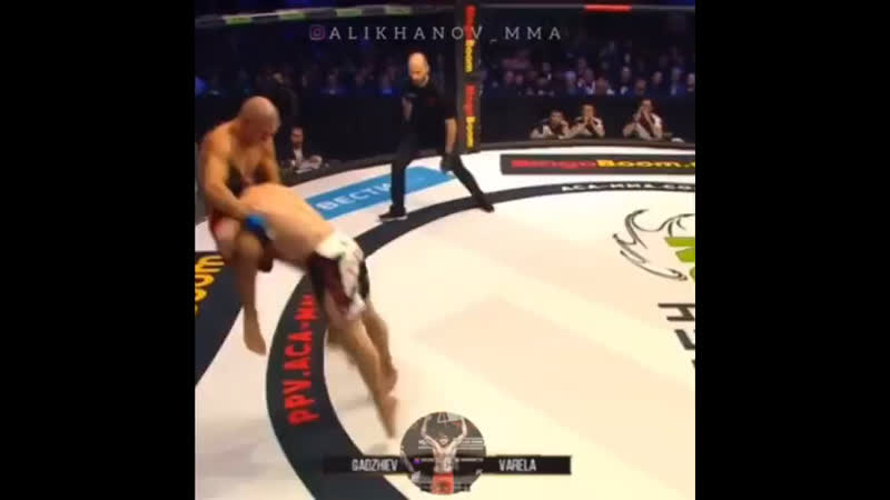 Курбан гаджиев николас варела hl